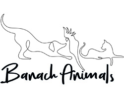 Banach Animals